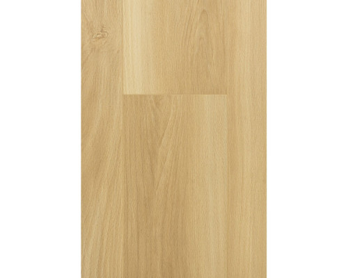 Ламинат FirstFloor Nobless Matt 3D 1F312 Дуб Веритэ