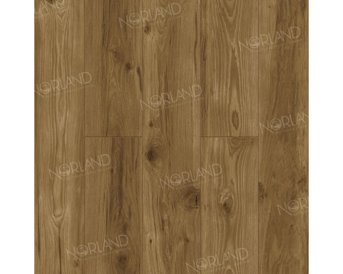 Ламинат Norland Elegant Strong LF302-18 Дуб Корсика