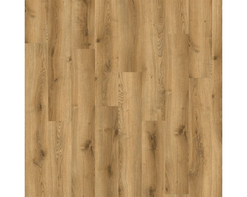 Кварцвиниловая плитка Adelar Solida 03826 Traditional Oak
