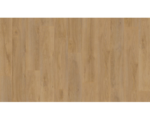 Ламинат Kronotex Robusto D 4955 Дуб натуральный Премиум
10218