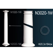 Тело колонны N3020-1W
