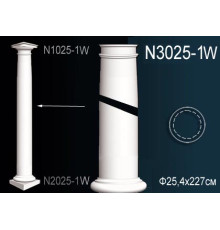 Тело колонны N3025-1W