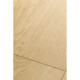 Ламинат FirstFloor Passion Matt 3D 1F303 Дуб Софи