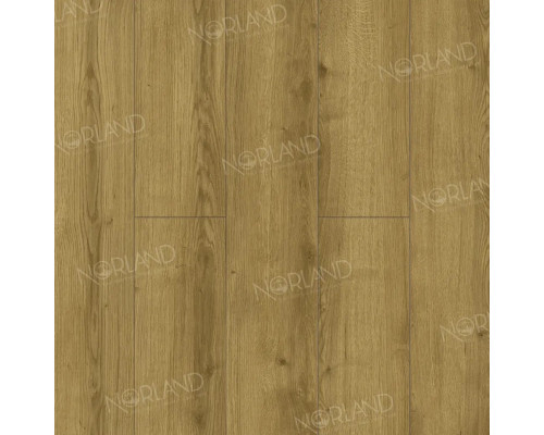 Ламинат Norland Elegant LF301-17 Дуб Фанэн