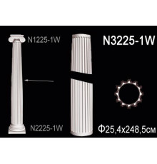 Тело колонны N3225-1W