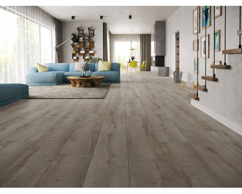 Ламинат Classen Harmony Forte WR 55953 Дуб Трудент
8076