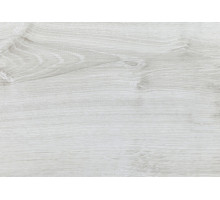 Ламинат Alsafloor Solid Plus 627 Дуб Полярный
