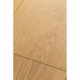 Ламинат FirstFloor Passion Matt 3D 1F308 Дуб Аморе