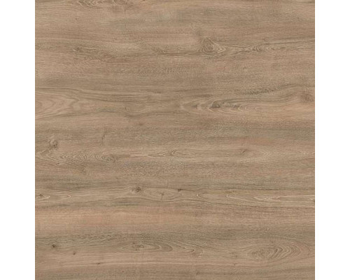 Ламинат Kronostar Synonym 50137 Дуб Мендель
