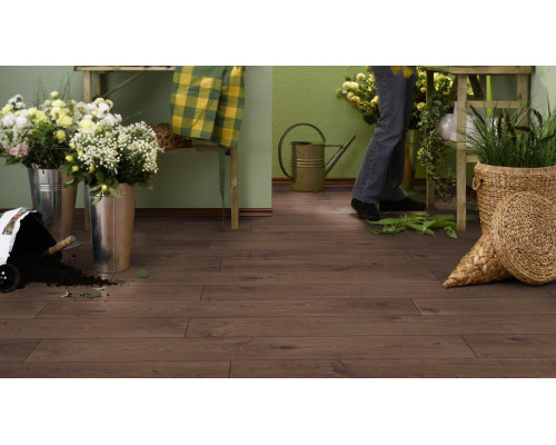 Ламинат Swiss Krono Tex Super Solid / Jangal 8591 (3591) Дуб Шоколадный
