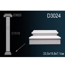 Основание D3024