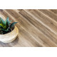 Кварцвиниловая плитка Alpine Floor Easy Line ECO 3-12 Орех светлый

