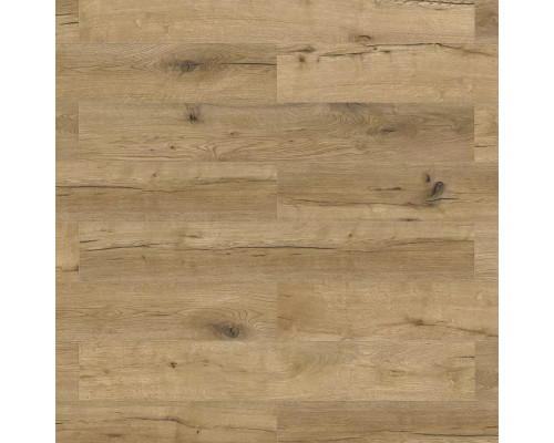 Ламинат Classen Adventure WR 62601 Дуб Брисбен
21839