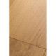Ламинат FirstFloor Passion Matt 3D 1F306 Дуб Кармен