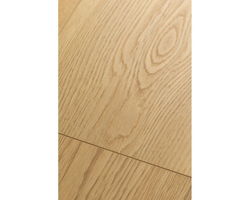 Ламинат FirstFloor Passion Matt 3D 1F307 Дуб Этерния