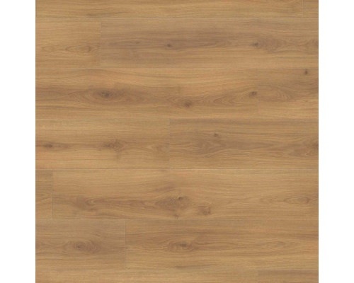 Ламинат Haro Tritty 100 Campus 541541 Дуб Эмилия Медовый
