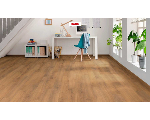 Ламинат Haro Tritty 100 Campus 541541 Дуб Эмилия Медовый
