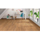 Ламинат Haro Tritty 100 Campus 541541 Дуб Эмилия Медовый
