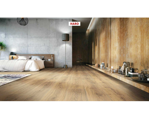 Ламинат Haro Tritty 100 Campus 541541 Дуб Эмилия Медовый
