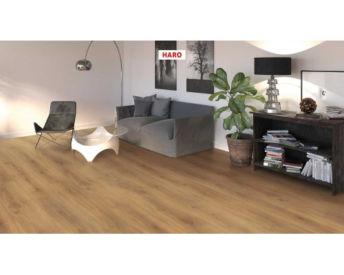 Ламинат Haro Tritty 100 Campus 541541 Дуб Эмилия Медовый
