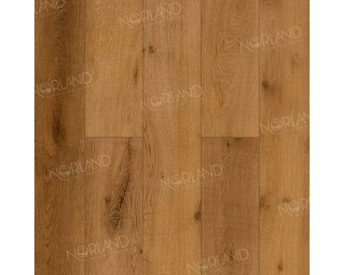 Ламинат Norland Elegant LF301-13 Дуб Помона