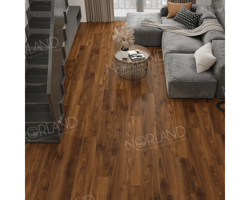 Ламинат Norland Elegant LF301-19 Орех Кипр