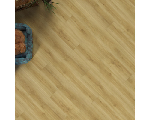 Кварцвиниловая плитка FineFloor Wood Dry Back Дуб Базель, FF 1421
