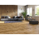 Ламинат Classen Harmony Forte WR 55959 Дуб Аван
