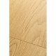 Ламинат FirstFloor Passion Matt 3D 1F305 Дуб Рапсодия