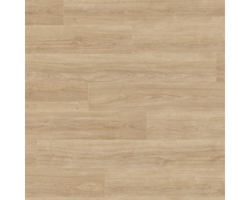 Ламинат Haro Tritty 100 Gran Via 541517 Дуб Элеганза Пуро
