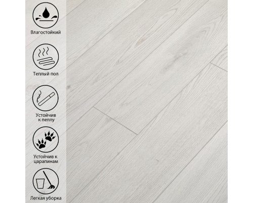 Ламинат Peli Loft LF 700 Истранца Дуб
5548