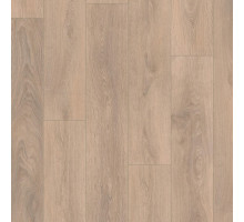 Ламинат TerHurne Classic Line F16 Дуб Песочно-Коричневый
