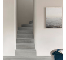 Кварцвиниловая плитка Moduleo Roots 0.55 EIR 86936BE Galtymore Oak
