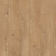 Ламинат TerHurne Classic Line F06 Дуб Золотисто-Коричневый
10014