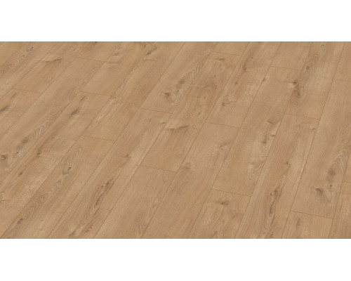 Ламинат TerHurne Classic Line F06 Дуб Золотисто-Коричневый
10014