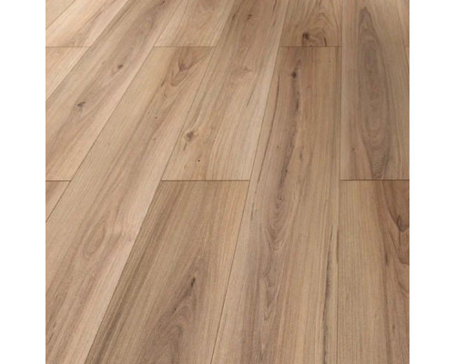 Ламинат Alsafloor Creative Standart Mat 8.33 583 Кортес
