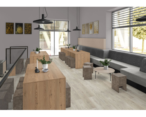 Ламинат Egger Pro Classic 10-33 EPL154 Дуб Азгил светлый
9229