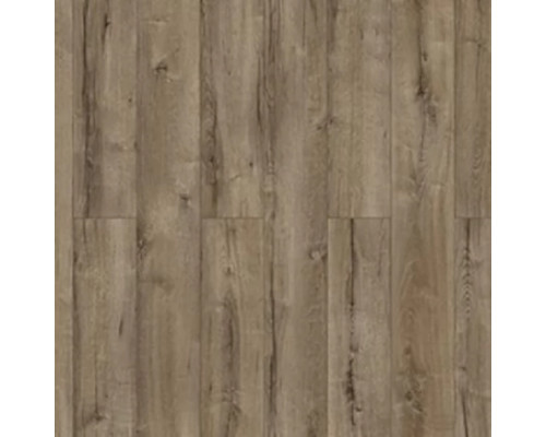 Ламинат Swiss Krono Magister 50527 Дуб Элиан
25767