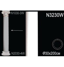 Тело колонны N3230W