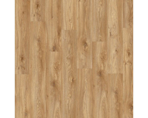 Виниловый пол Moduleo Roots 0.55 EIR 2,5/42 Дуб Сьерра (Oak Sierra), 58346Q
