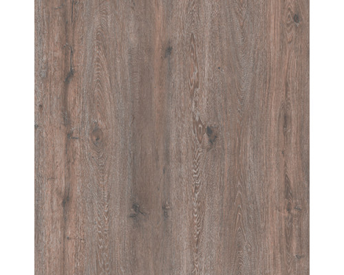 Ламинат Swiss Krono Woodroyal Дуб Сурат D59837