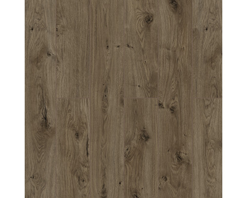 Ламинат Swiss Krono Royalife Дуб Рапти D59807