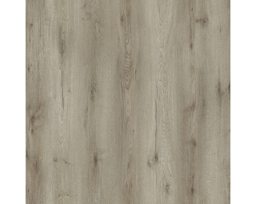 Ламинат Swiss Krono Royalife Дуб Годавари D59787